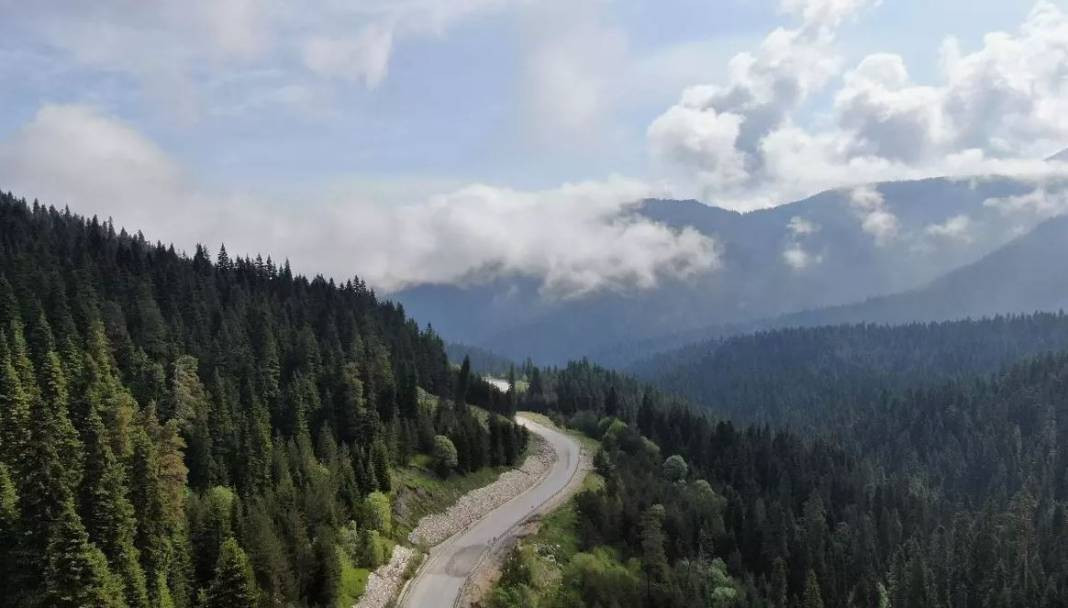 Tam 27 ilde resmen yasaklandı! Ormanlara giremeyeceksiniz - Resim: 5